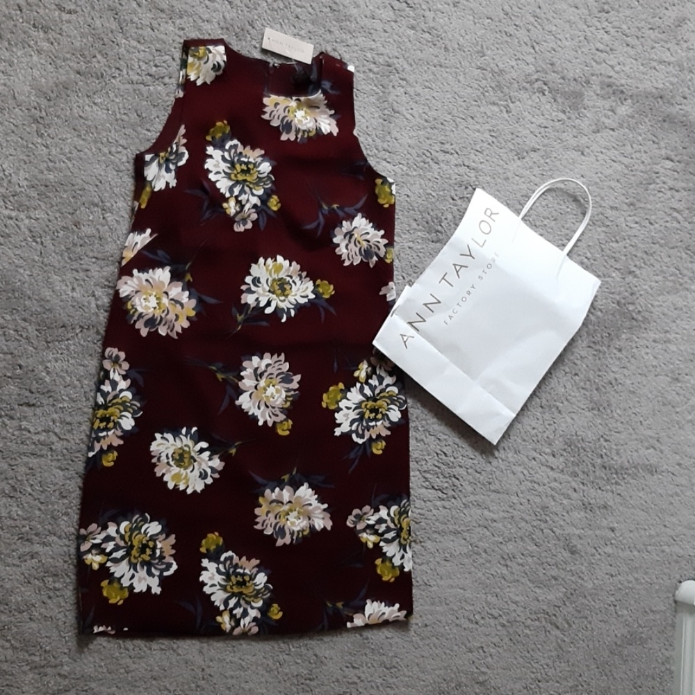 Ann Taylor Dress (Petite) NWT